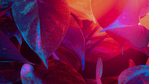 Join us for The Spritz - March 21st, 6:30PM